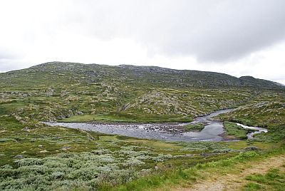 vidda1 1300 meter hoog groeit er bijna niets meer